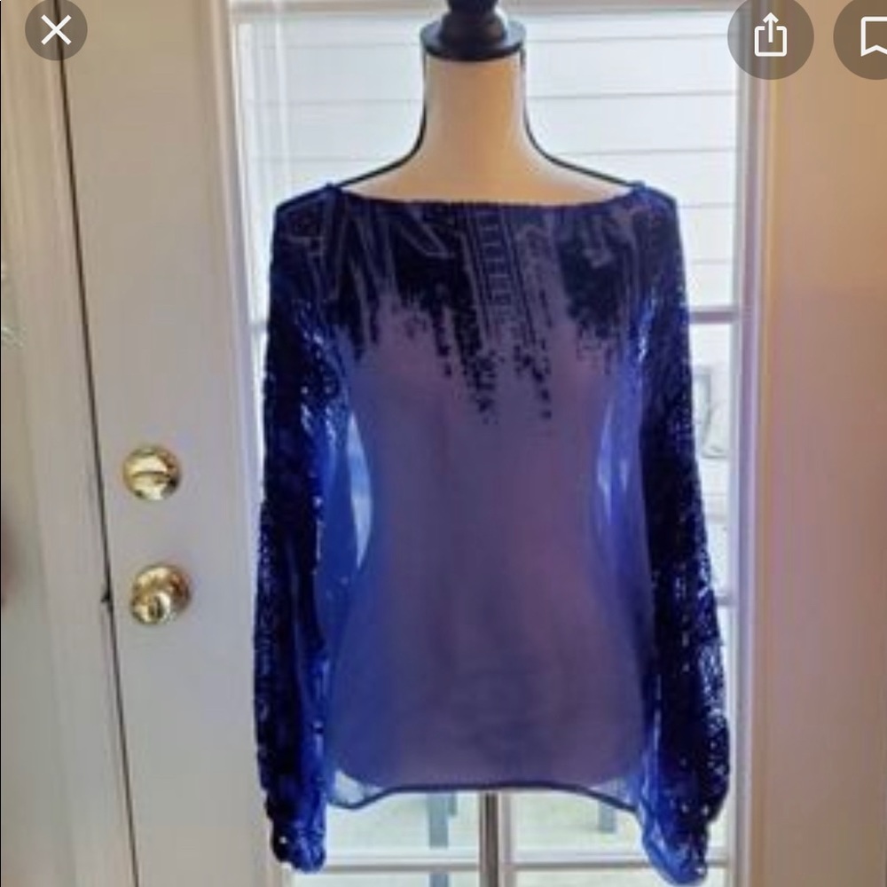Twelfth Street by Cynthia Vincent Silk and Velvet Blouse.